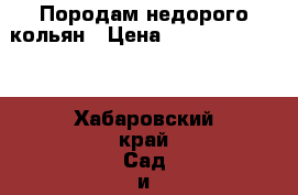 Породам недорого кольян › Цена ­ 1 000 000 000 - Хабаровский край Сад и огород » Ёмкости   